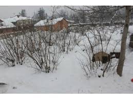 Düzce Koçyazı Köyü Resimleri 1