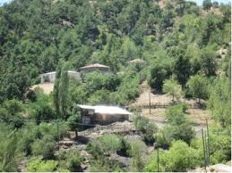 Düzce Koçyazı Köyü Resimleri 4