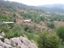 Düzce Koçyazı Köyü Resimleri 6