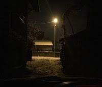 Düzce Koçyazı Köyü Resimleri 7