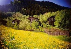 Düzce Kozluk Köyü Resimleri 1