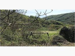 Düzce Kozluk Köyü Resimleri 2