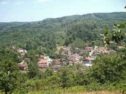 Düzce Kozluk Köyü Resimleri 3