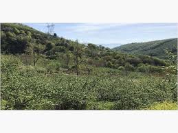 Düzce Kozluk Köyü Resimleri 5