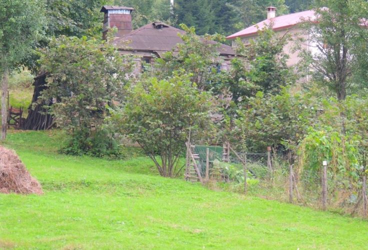 Maçka Yazlık Köyü Resimleri 12