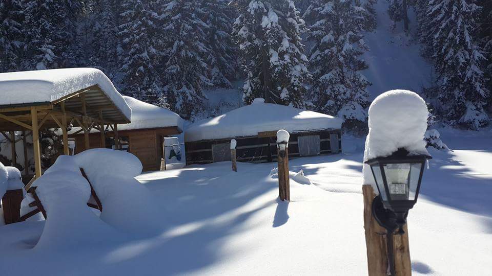 Maçka Yazlık Köyü Resimleri 15