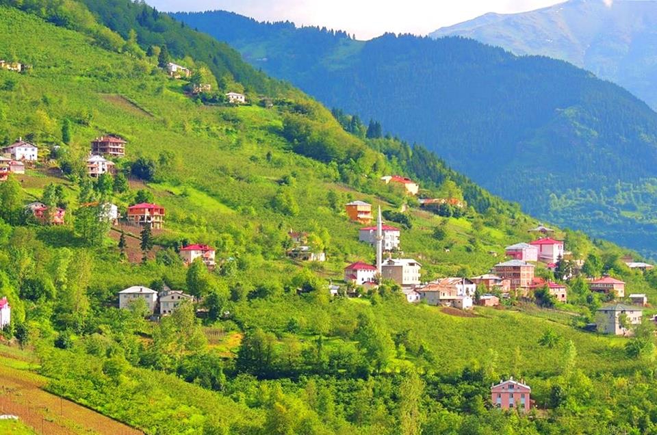 Maçka Yazlık Köyü Resimleri 20