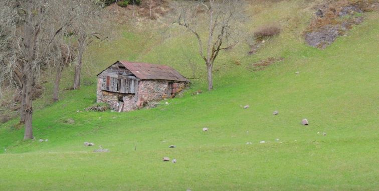 Maçka Yazlık Köyü Resimleri 23