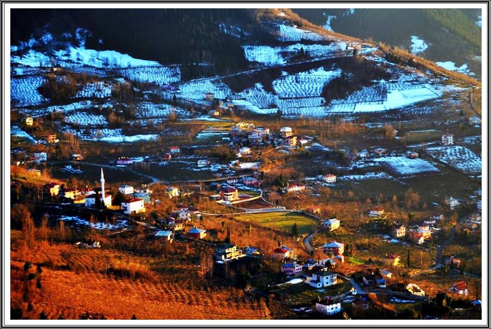Maçka Yazlık Köyü Resimleri 26