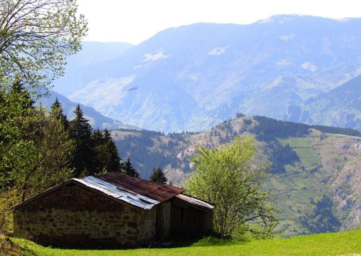 Maçka Yazlık Köyü Resimleri 33