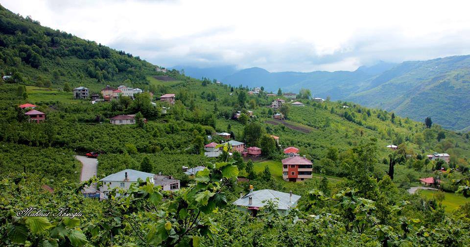 Maçka Yazlık Köyü Resimleri 4