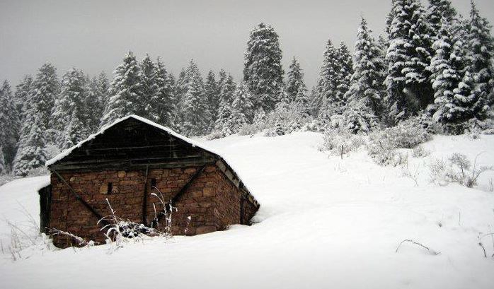 Maçka Yazlık Köyü Resimleri 9