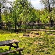 Düzce Kutlu Köyü Resimleri 2