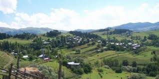 Düzce Kutlu Köyü Resimleri 3