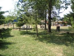 Düzce Kutlu Köyü Resimleri 6