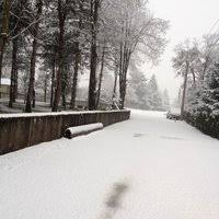 Düzce Kuyumcuhacıali, Köyü Resimleri 2