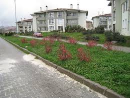 Düzce Kuyumcuhacıali, Köyü Resimleri 3