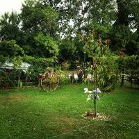 Düzce Kuyumcuhacıali, Köyü Resimleri 7