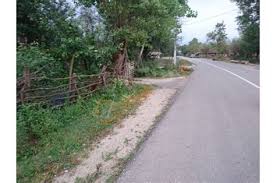 Düzce Mamure Köyü Resimleri 2