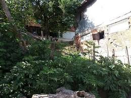 Düzce Mamure Köyü Resimleri 7