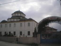 Düzce Mamure Köyü Resimleri 8