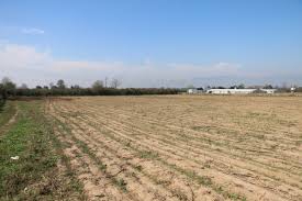 Düzce Muncurlu Köyü Resimleri 10