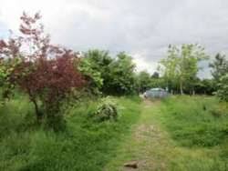 Düzce Musababa Köyü Resimleri 1