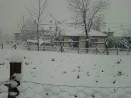 Düzce Musababa Köyü Resimleri 3