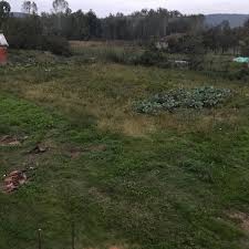 Düzce Musababa Köyü Resimleri 4