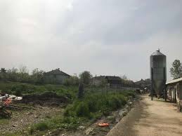 Düzce Musababa Köyü Resimleri 5