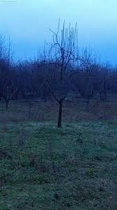 Düzce Ovapınar Köyü Resimleri 1