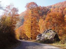 Düzce Ovapınar Köyü Resimleri 5