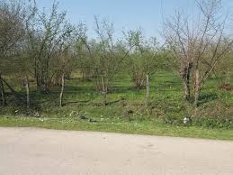 Düzce Ozanlar Köyü Resimleri 1