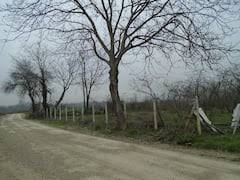 Düzce Ozanlar Köyü Resimleri 2