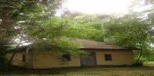 Düzce Ozanlar Köyü Resimleri 9