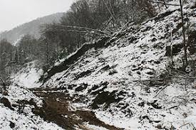 Düzce Özyanık Köyü Resimleri 1