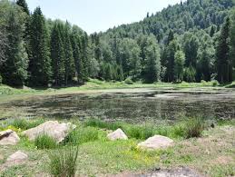 Düzce Özyanık Köyü Resimleri 5