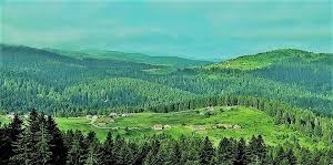 Düzce Paşakonağı Köyü Resimleri 3