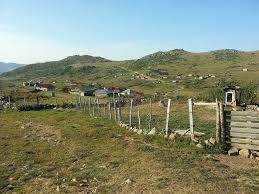 Düzce Paşakonağı Köyü Resimleri 4