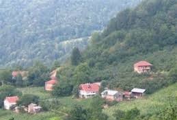 Düzce Paşakonağı Köyü Resimleri 5