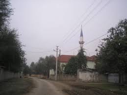 Düzce Paşakonağı Köyü Resimleri 7