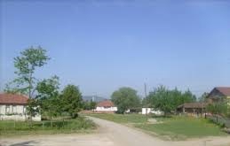 Düzce Paşakonağı Köyü Resimleri 8