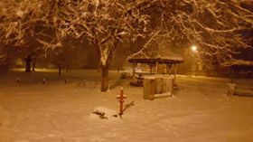 Düzce Pınarlar  Köyü Resimleri 1