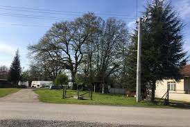 Düzce Pınarlar  Köyü Resimleri 10