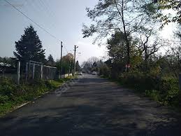 Düzce Pınarlar  Köyü Resimleri 11