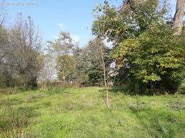 Düzce Pınarlar  Köyü Resimleri 3