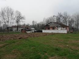 Düzce Pınarlar  Köyü Resimleri 6