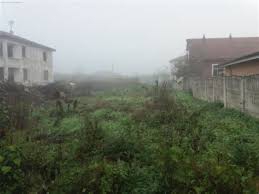 Düzce Pınarlar  Köyü Resimleri 7