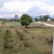 Düzce Sallar Köyü Resimleri 1