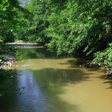 Düzce Sallar Köyü Resimleri 3